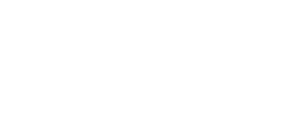 Dizupack